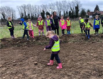  - A new wildflower glade for Boughton Monchelsea!